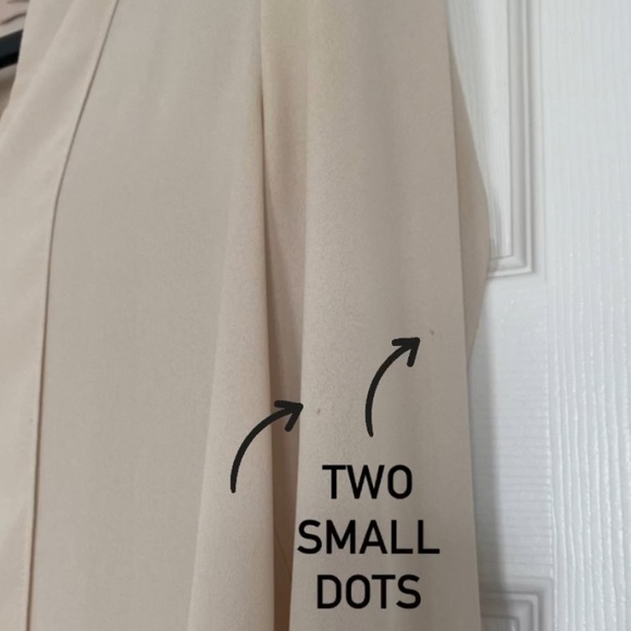 Forever 21 | Long Sleeve Sheer Chiffon Blouse - Picture 13 of 14